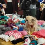 12 h tricot 2025 h v 1 (1)